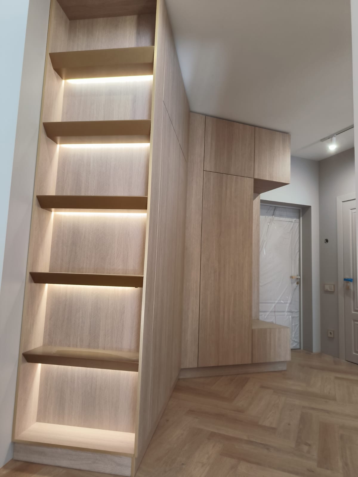 Шкаф в прихожую с LED-подсветкой, фото - 2